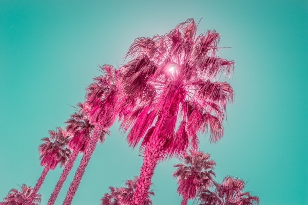 Tourmaline and Turquoise - Jewel Colored Palm Trees - Original Variant by GeorgiaM